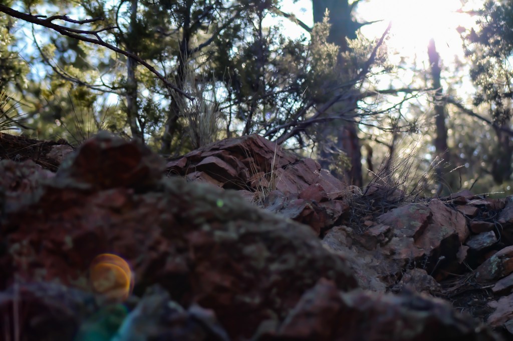 ground shot of red rock