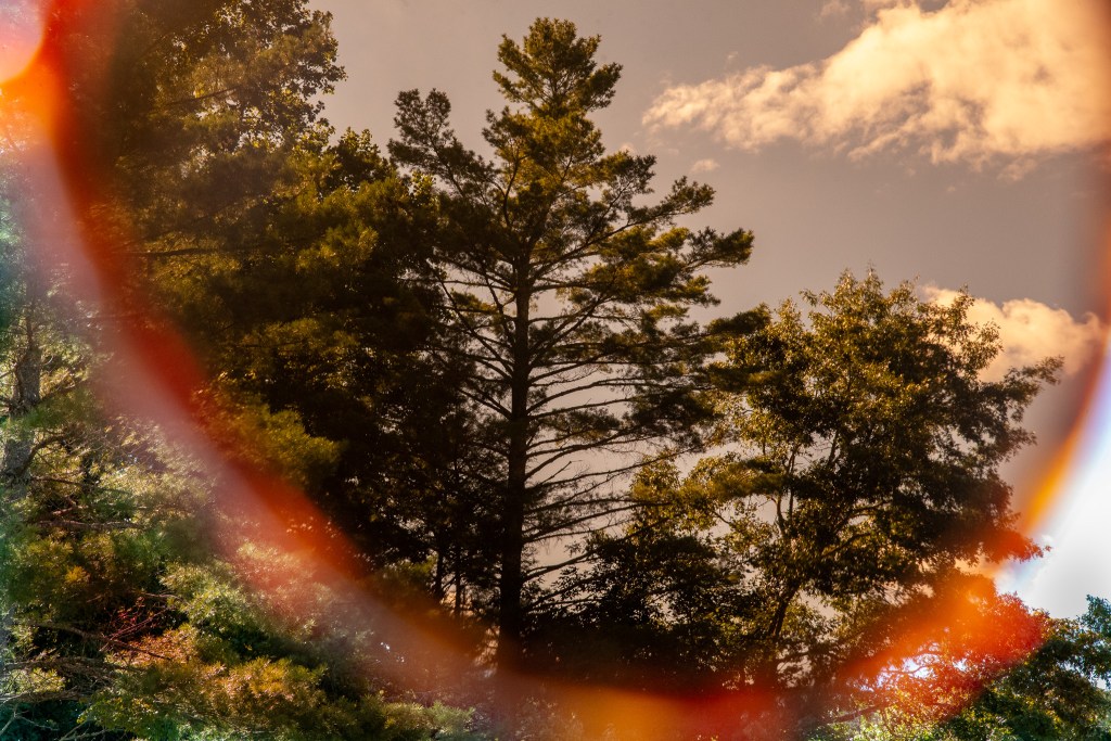 tinted view through sunglasses