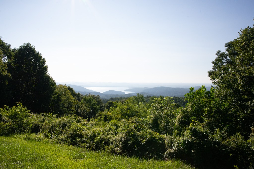 valley view with greenery