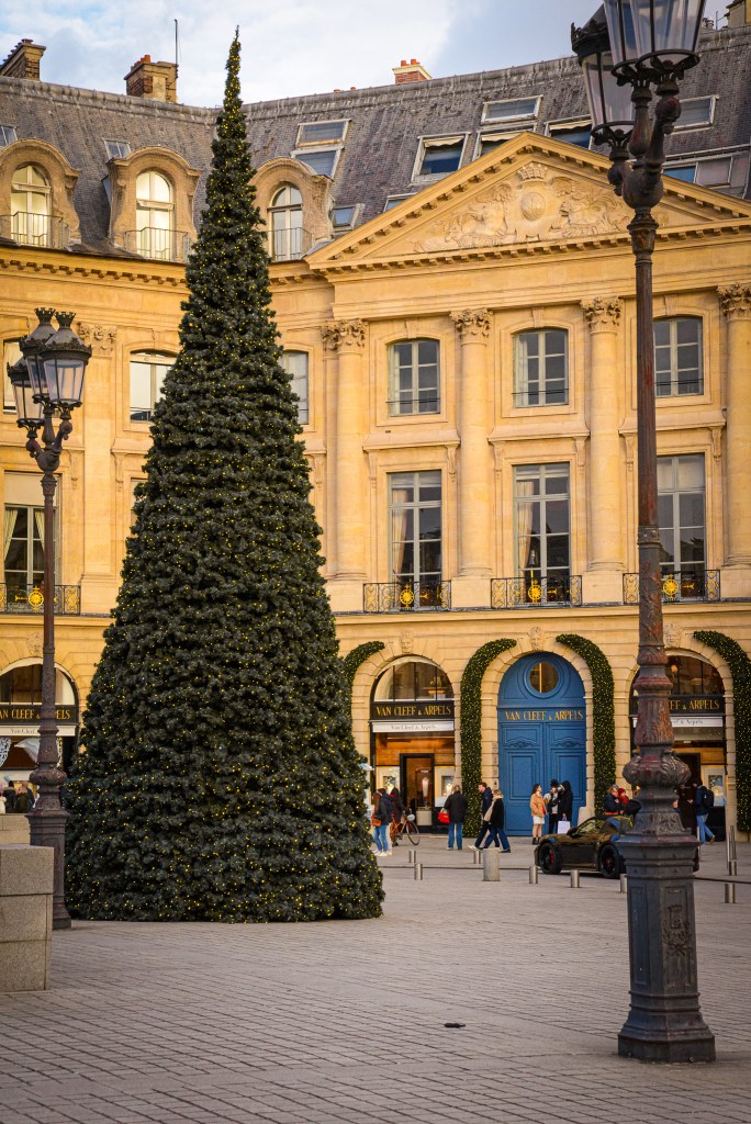 christmas tree in the square