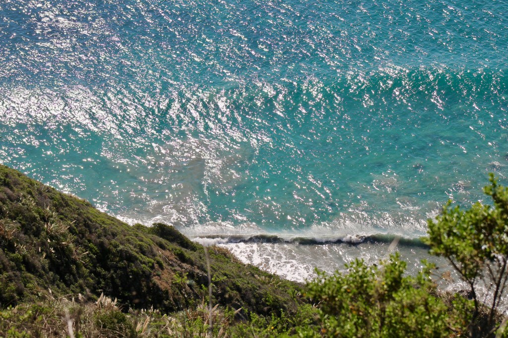 aerial shot of the big sur coast